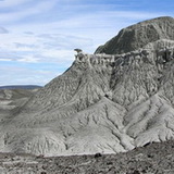 Bosque Petrificado